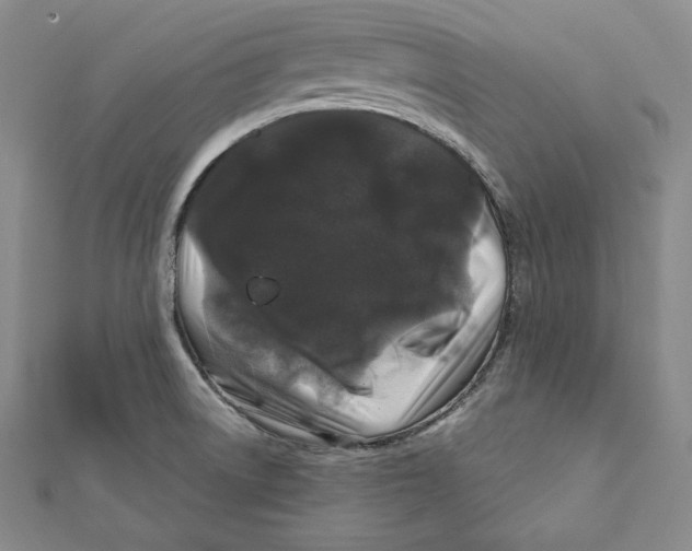 X0000111871522200908201206