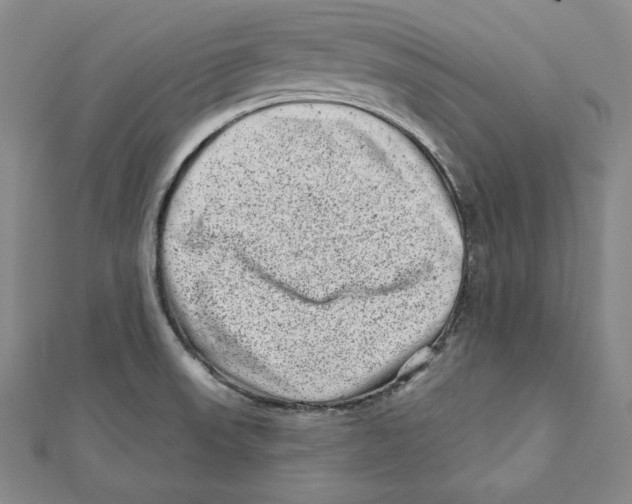 X0000111871523200908201206