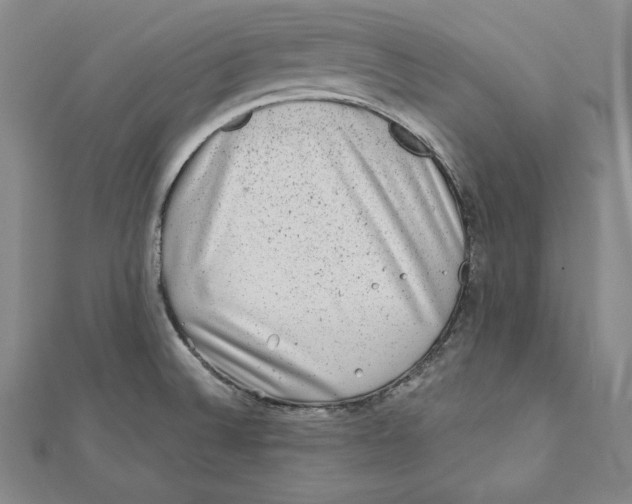 X0000111871524200908201206