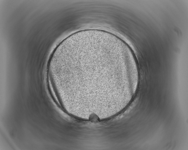 X0000111871525200908201206