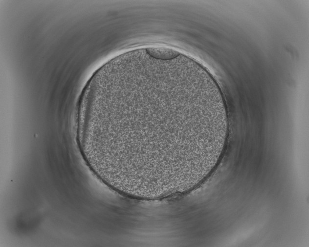 X0000111871526200908201206