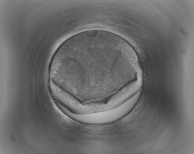 X0000111871527200908201206