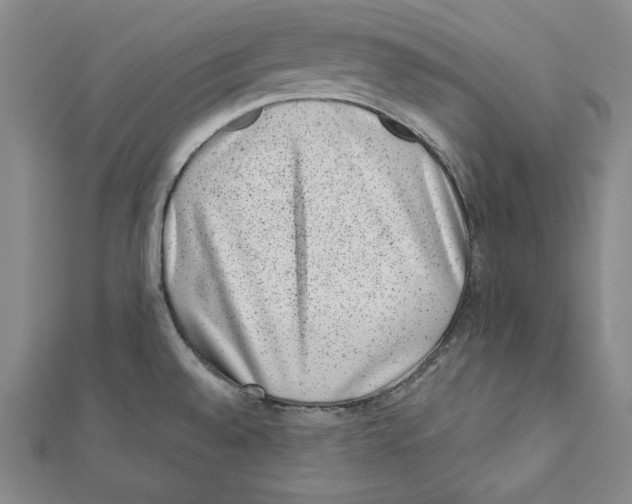 X0000111871528200908201206