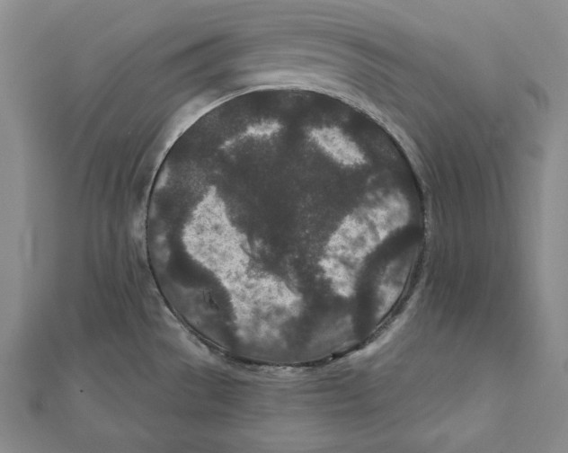 X0000111871529200908201206