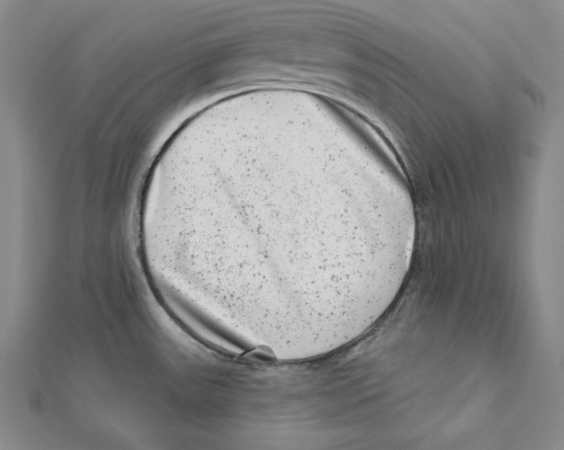 X0000111871531200908201206