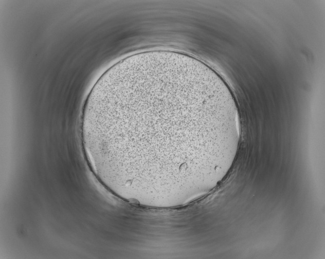 X0000111871532200908201206