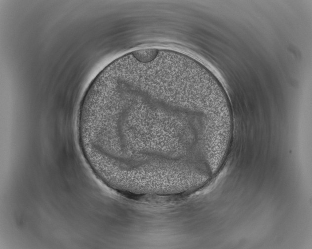 X0000111871533200908201206