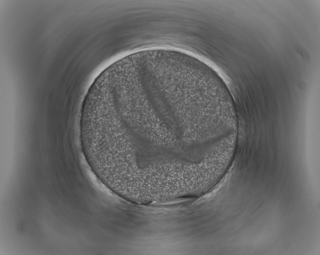 X0000111871534200908201206