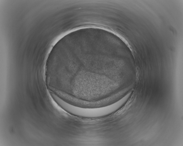 X0000111871535200908201206