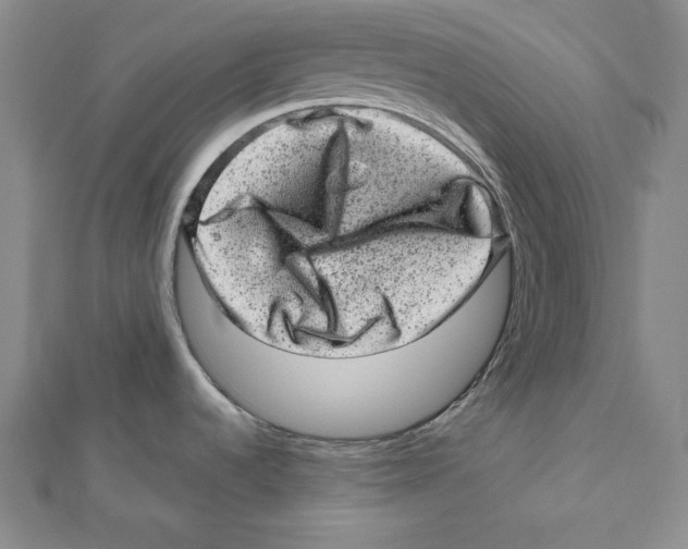 X0000111871536200908201206