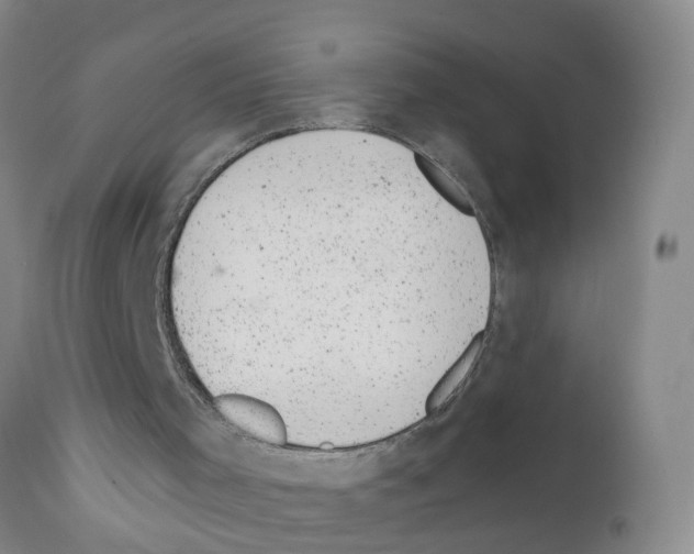 X0000111870001200909031827