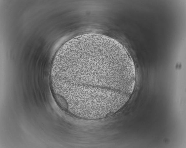 X0000111870003200909031827