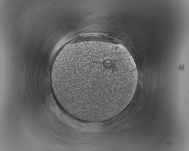 X0000111870004200909031827