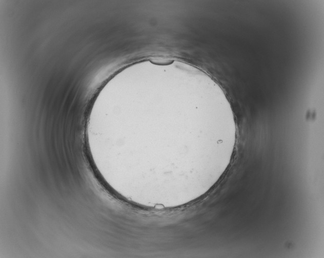 X0000111870005200909031827