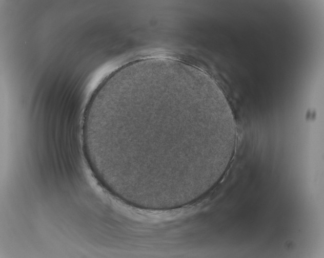 X0000111870006200909031827