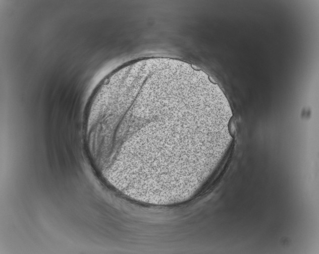 X0000111870008200909031827