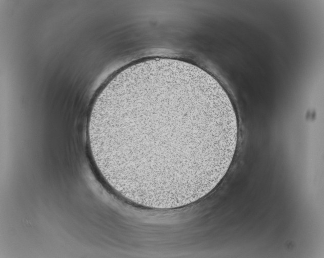 X0000111870011200909031827