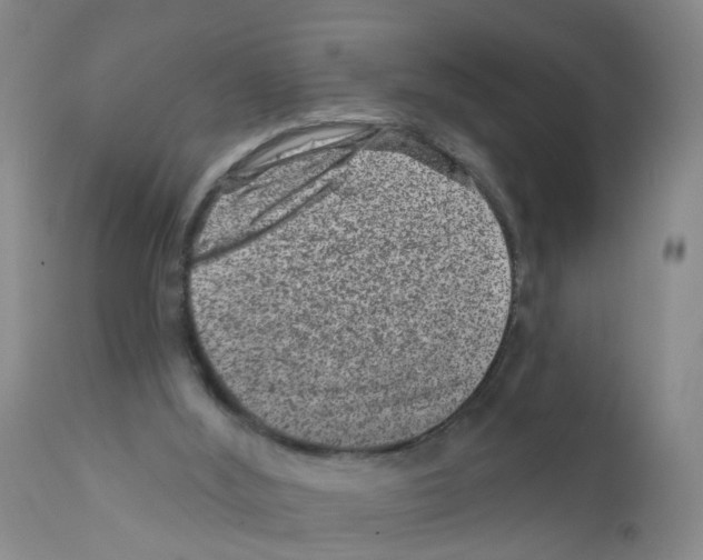 X0000111870012200909031827