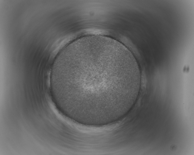 X0000111870014200909031827