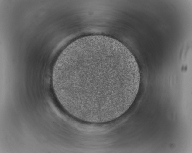 X0000111870016200909031827