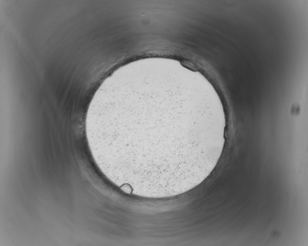 X0000111870017200909031827