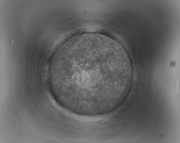 X0000111870018200909031827