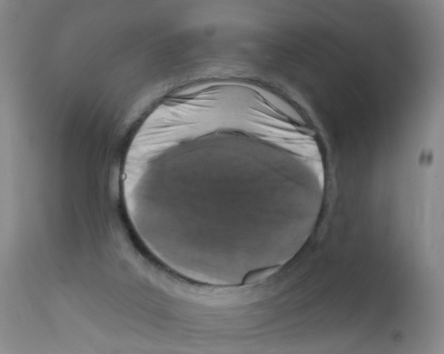 X0000111870019200909031827