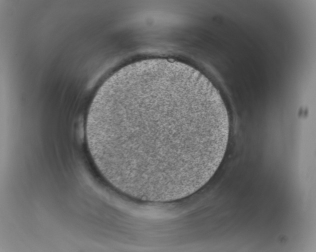 X0000111870020200909031827