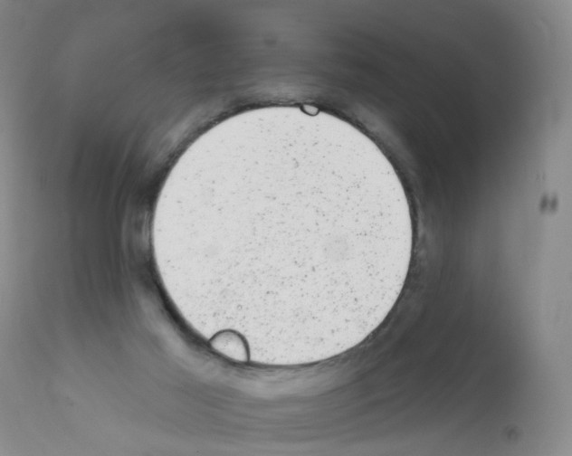 X0000111870021200909031827