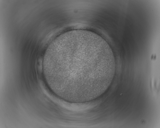 X0000111870022200909031827