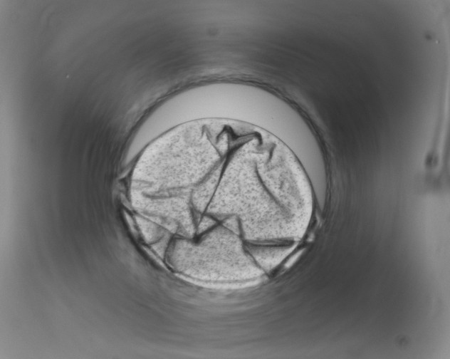 X0000111870023200909031827