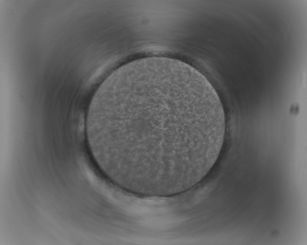 X0000111870024200909031827