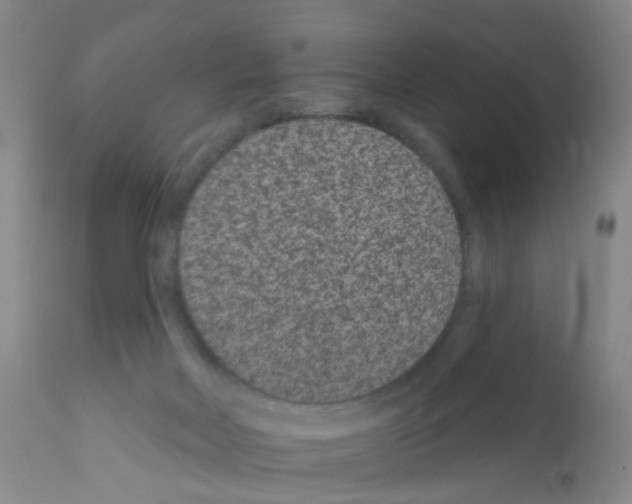 X0000111870026200909031827