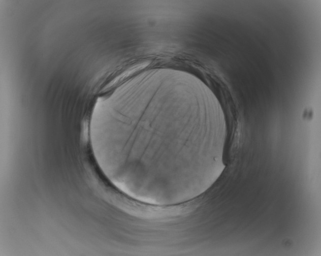 X0000111870027200909031827