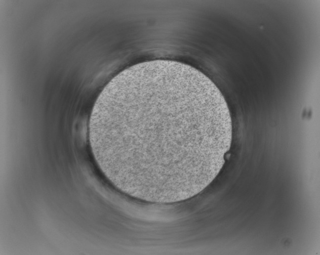 X0000111870028200909031827