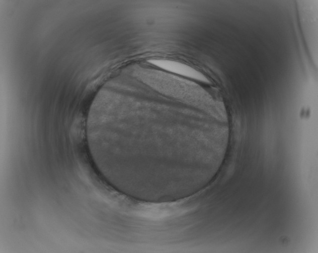 X0000111870029200909031827