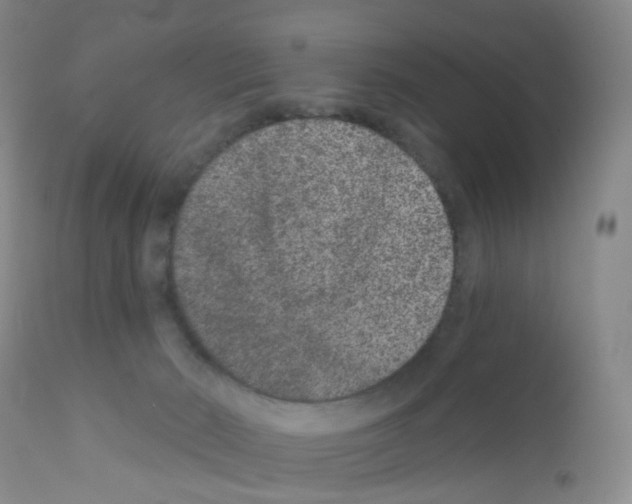 X0000111870030200909031827