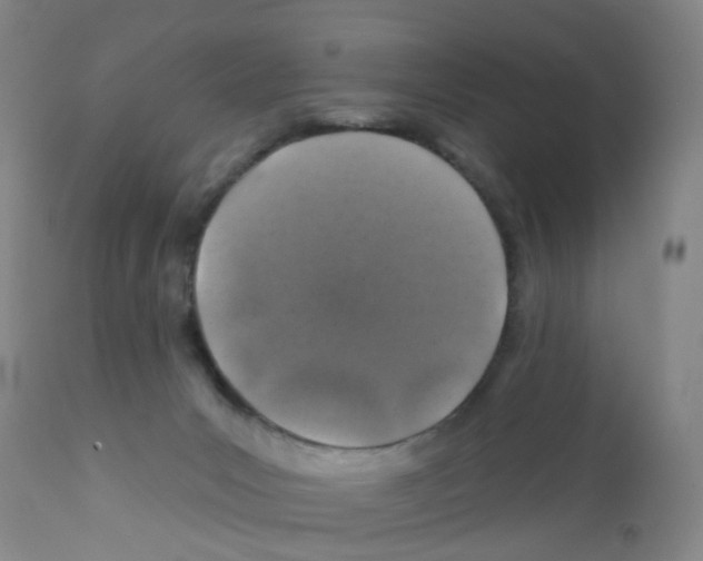 X0000111870031200909031827