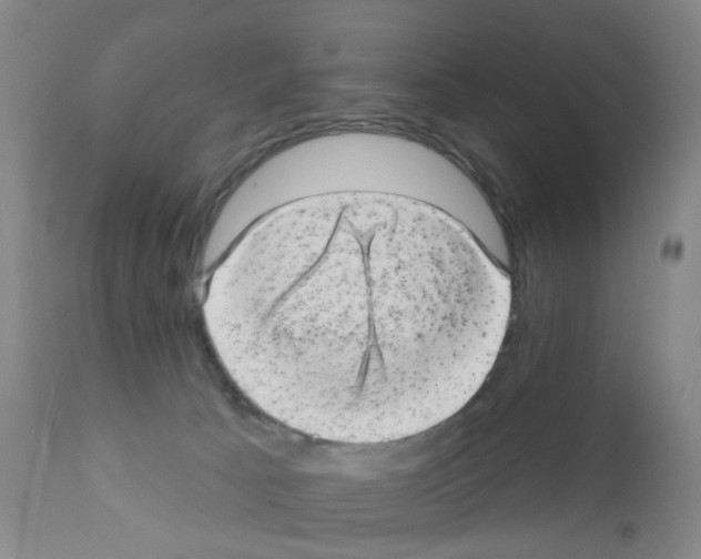 X0000111870033200909031826