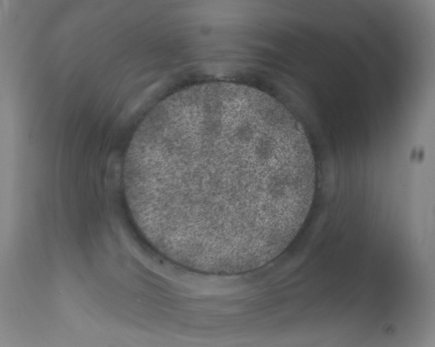 X0000111870036200909031826