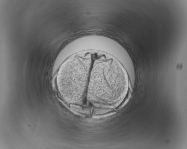 X0000111870037200909031826