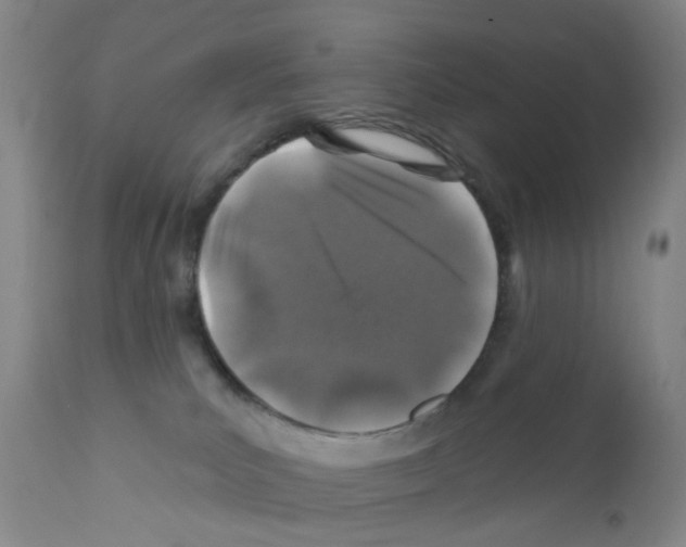 X0000111870039200909031826