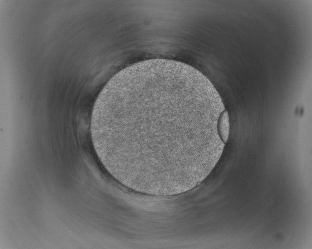 X0000111870040200909031826