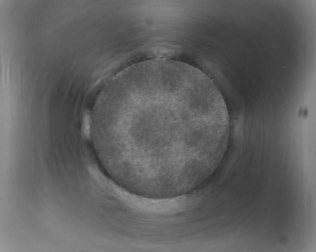 X0000111870042200909031826