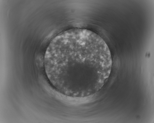 X0000111870043200909031826