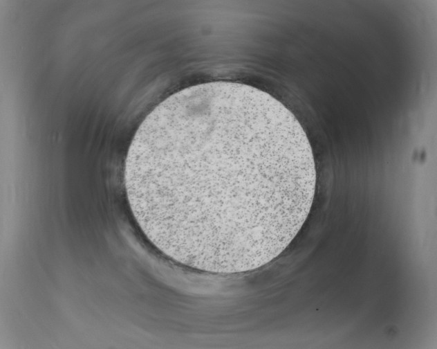 X0000111870044200909031826