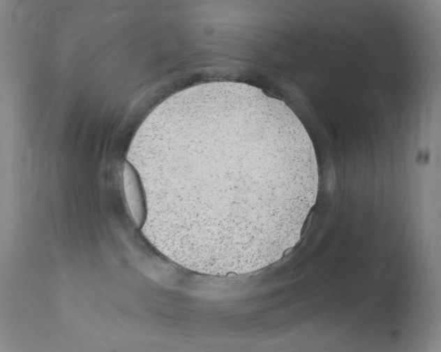 X0000111870045200909031826