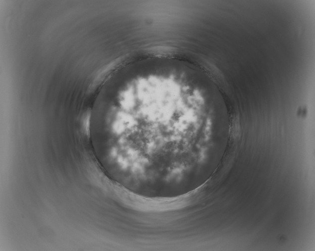 X0000111870047200909031826