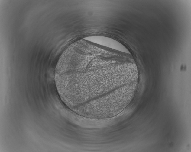 X0000111870048200909031826