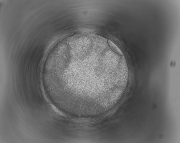 X0000111870049200909031825